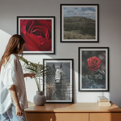 Set of 4 wall art pieces Red roses horse gray background