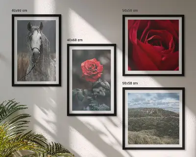 Set of 4 wall art pieces featuring red roses and a horse on a gray background