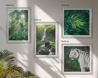 Set of 4 wall art pieces Jungle White Tiger Waterfall