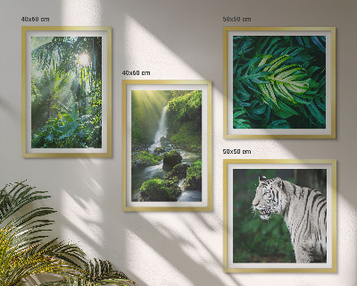 Set of 4 wall art pieces Jungle White Tiger Waterfall