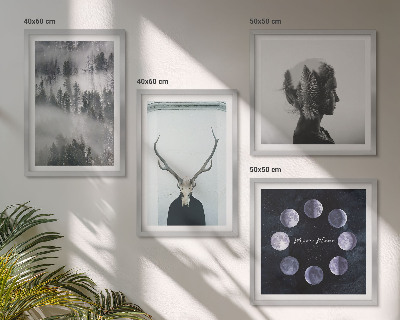Set of 4 wall art pieces Forest fog moon skull woman