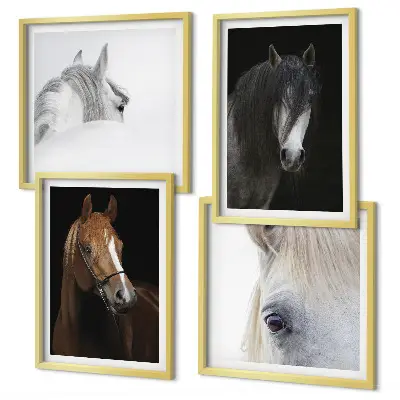 Wall art set Horse portraits in shades