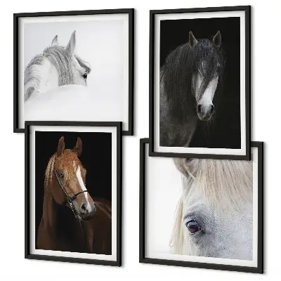 Wall art set Horse portraits in shades