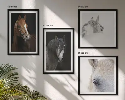Wall art set Horse portraits in shades
