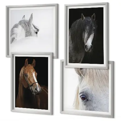 Wall art set Horse portraits in shades