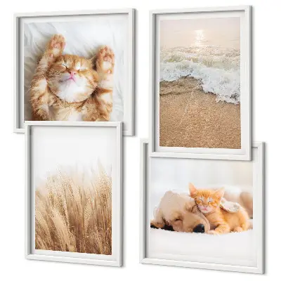 Multi-piece wall decor set Cute animals cats dogs beach