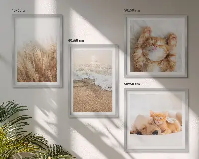 Multi-piece wall decor set featuring cute cats and dogs at the beach