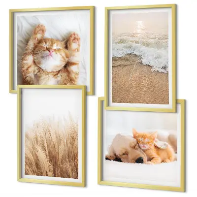 Multi-piece wall decor set Cute animals cats dogs beach