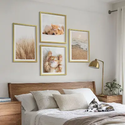 Multi-piece wall decor set Cute animals cats dogs beach
