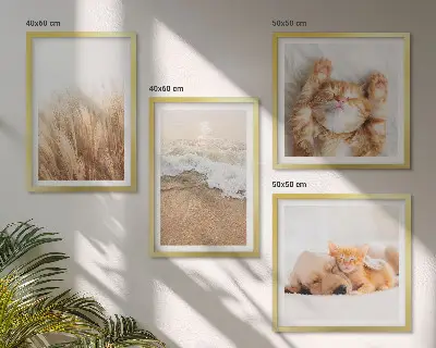 Multi-piece wall decor set featuring cute cats and dogs at the beach