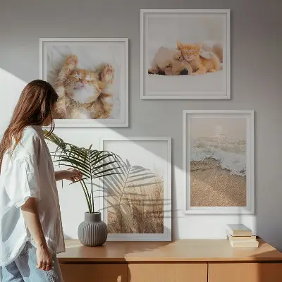 Multi-piece wall decor set Cute animals cats dogs beach