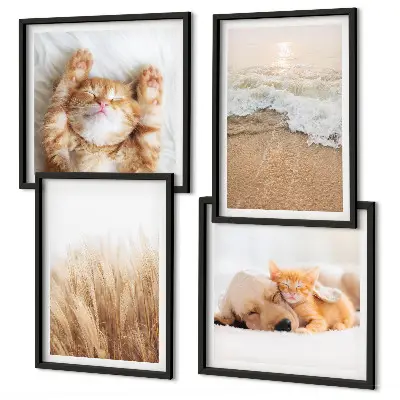 Multi-piece wall decor set featuring cute cats and dogs at the beach