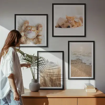 Multi-piece wall decor set featuring cute cats and dogs at the beach