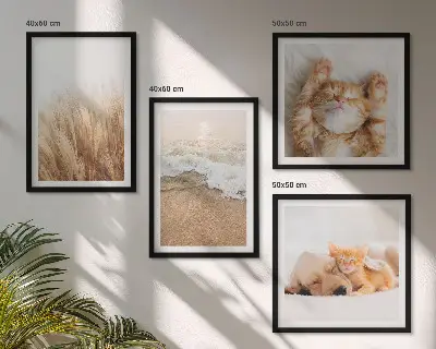 Multi-piece wall decor set featuring cute cats and dogs at the beach