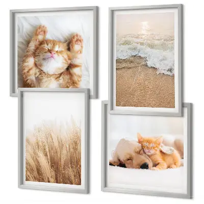 Multi-piece wall decor set Cute animals cats dogs beach