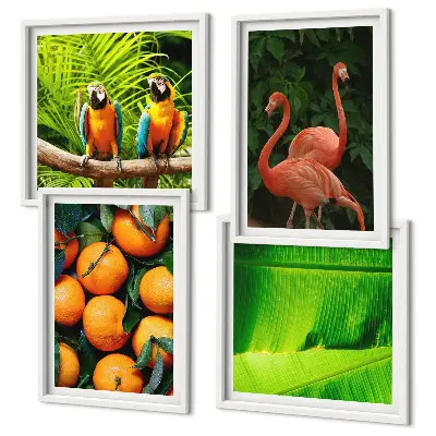 Multi-piece tropical fruit wall art set with fruity accents of the tropics
