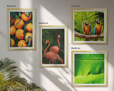 Multi-piece wall decor set Fruity accents of the tropics