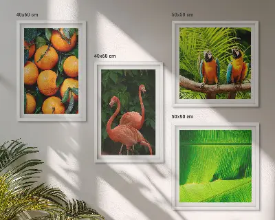 Multi-piece tropical fruit wall art set with fruity accents of the tropics
