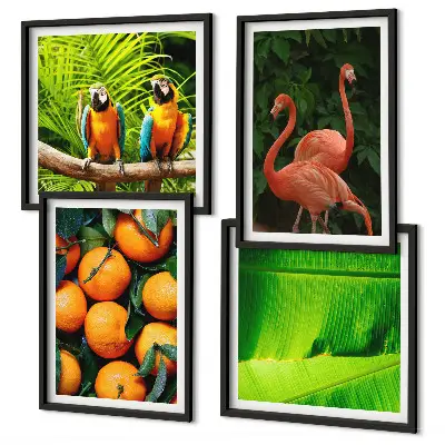 Multi-piece tropical fruit wall art set with fruity accents of the tropics