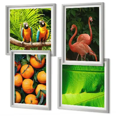 Multi-piece tropical fruit wall art set with fruity accents of the tropics