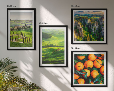 Multi-piece wall decor set Italian countryside oranges nature