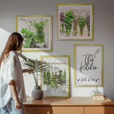 Multi-piece wall decor set Herbs plants for the kitchen drying