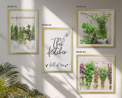 Multi-piece wall decor set Herbs plants for the kitchen drying