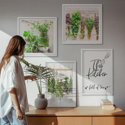 Multi-piece wall decor set Herbs plants for the kitchen drying