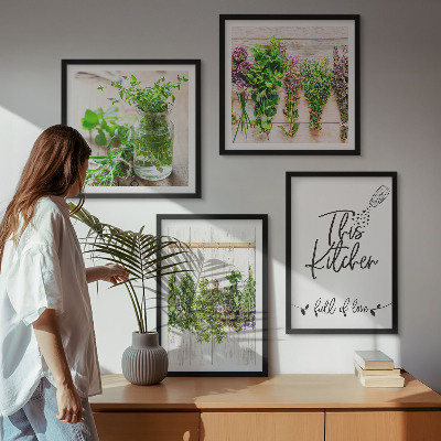 Multi-piece wall decor set Herbs plants for the kitchen drying
