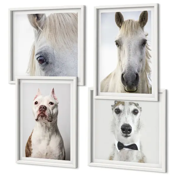 Set of 4 Dog and Horse Portrait Wall Art Pieces elegant style prints