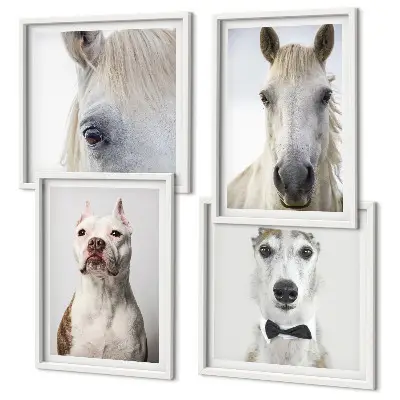 Set of 4 Dog and Horse Portrait Wall Art Pieces elegant style prints