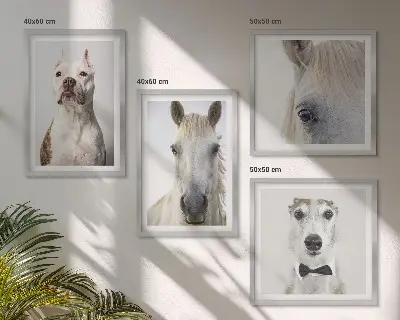 Set of 4 Dog and Horse Portrait Wall Art Pieces elegant style prints