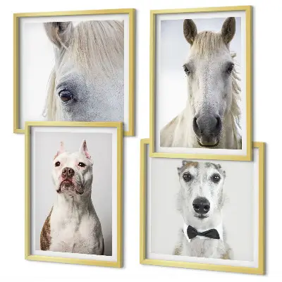 Set of 4 Dog and Horse Portrait Wall Art Pieces elegant style prints