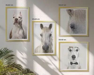 Set of 4 Dog and Horse Portrait Wall Art Pieces elegant style prints
