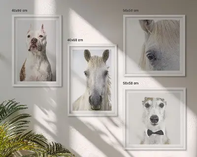 Set of 4 wall art pieces Portraits of dogs and horses elegantly