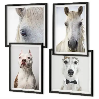 Set of 4 wall art pieces Portraits of dogs and horses elegantly