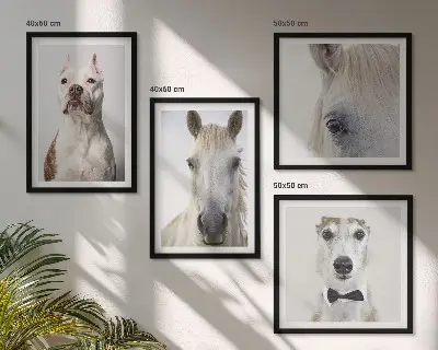 Set of 4 Dog and Horse Portrait Wall Art Pieces elegant style prints