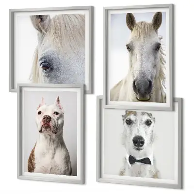 Set of 4 wall art pieces Portraits of dogs and horses elegantly