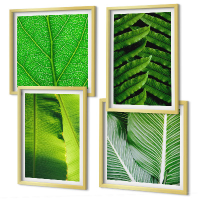 Multi-piece wall decor set Close-up of tropical leaves