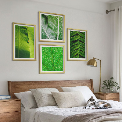 Multi-piece wall decor set Close-up of tropical leaves