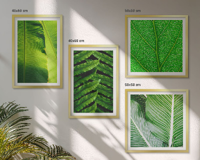 Multi-piece wall decor set Close-up of tropical leaves