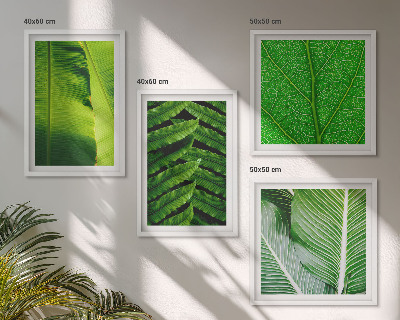 Multi-piece wall decor set Close-up of tropical leaves