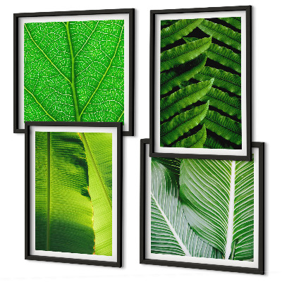 Multi-piece wall decor set Close-up of tropical leaves