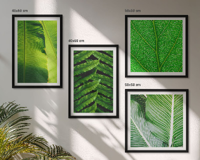 Multi-piece wall decor set Close-up of tropical leaves