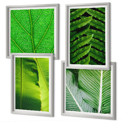 Multi-piece wall decor set Close-up of tropical leaves