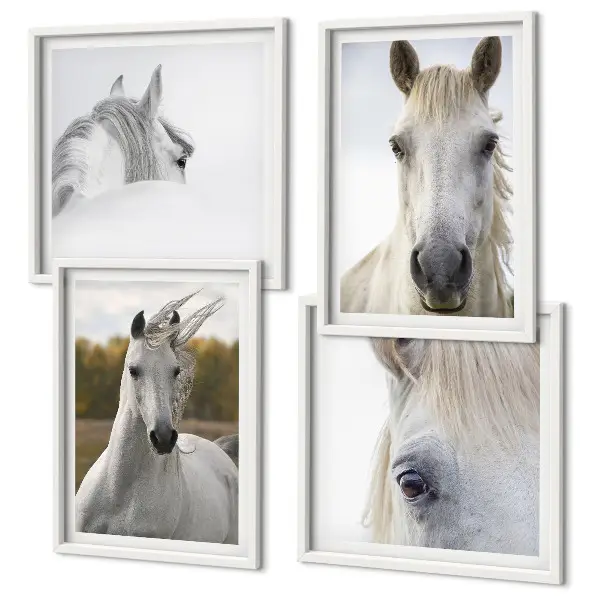 Set of 4 wall art pieces White horses