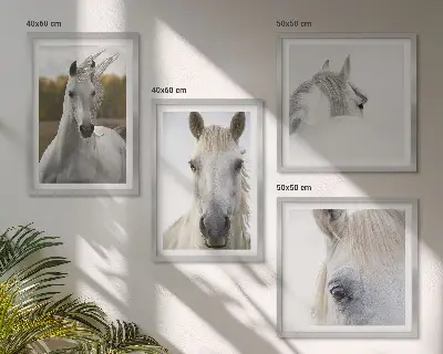 White horses wall art set of 4 pieces