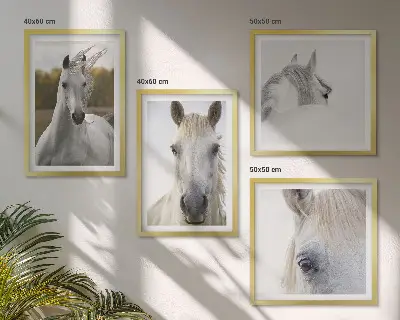 White horses wall art set of 4 pieces