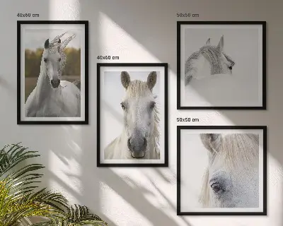 Set of 4 wall art pieces White horses