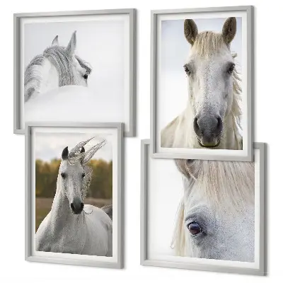 White horses wall art set of 4 pieces